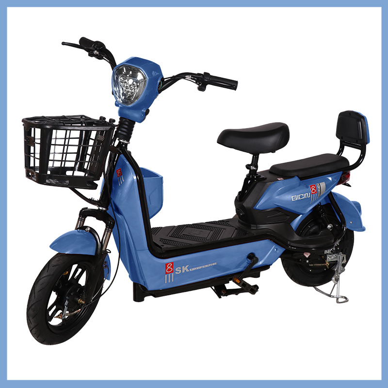 YTYIN Wholesale City Electric  - Electric Scooter 500W recension och pris